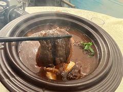 -丁老爷子苏香圆