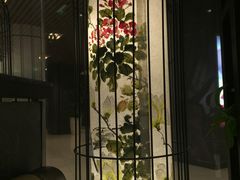 -潮堂(环球金融中心店)