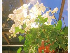-春暖花开(西溪店)