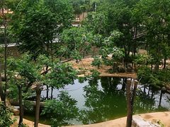 -石家庄市动物园