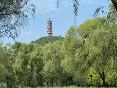 -北坞公园