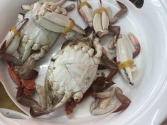 -叶存利海鲜大馅饺子(东戴河止锚湾店)