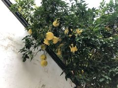 -昭明书院