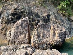 -广州白江湖森林公园