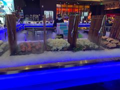 -九月海·海鲜自助(世纪东方店)