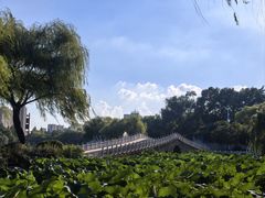 -楚秀园