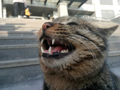-四川师范大学（成龙校区）-图书馆
