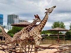 -杭州野生动物世界