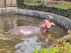 -合肥野生动物园