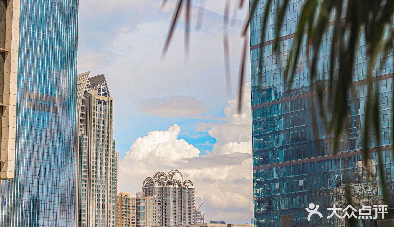 年夜飯｜‼️為了這一口生啫黃鱔我又來常来啦