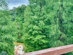 -云溪植物园