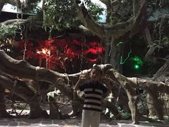 -多彩贵州城极地海洋世界