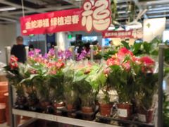 -宜家家居(四元桥商场店)