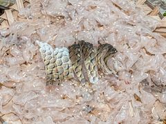 -官塘陈记鱼生·潮汕砂锅粥·牛肉火锅(潮枫路总店)