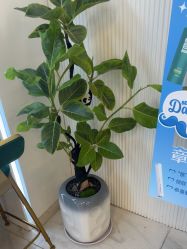 -章光101防脱养发荟