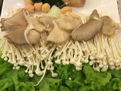 -刘一锅筋头巴脑(小北店)