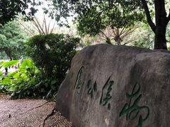-柳侯公园