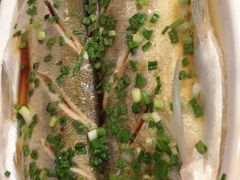 -呼吸森林·生态农庄农家乐私房菜