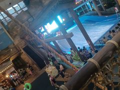 -杭州开元森泊度假乐园