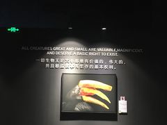 -珠海横琴国家地理探险家中心(创新方)