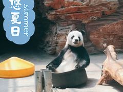 -石家庄市动物园