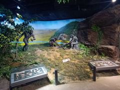 -马鞍山市博物馆