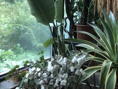 -北马山庄植趣咖啡