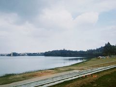 -仙湖旅游度假区