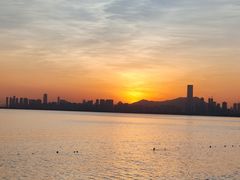 -深圳湾公园(南山区)