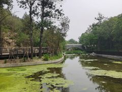 -白水寺森林公园