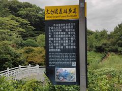 -北仑森林植物园