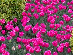 -玄武湖景区-情侣园游乐场