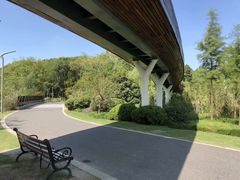 -昆山城市生态森林公园