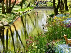 -上海共青森林公园