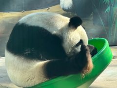 -鄂尔多斯野生动物园