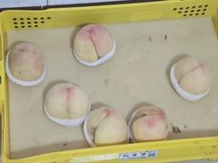 -老袁家蜜桃农场·阳山水蜜桃