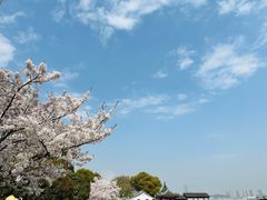 -无锡蠡湖国家湿地公园-蠡园