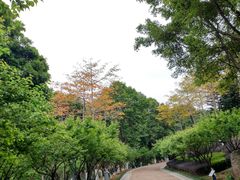 -玉树公园