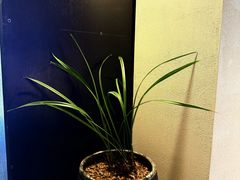 -羊门客在·烤盐池滩羊·川菜