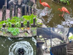 -长鹿旅游休博园