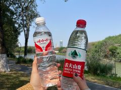 -海珠湖公园