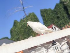 -J Create城市露营咖啡·简餐·宠物(上海动物园店)