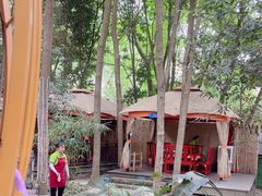 -二荆条·蜀鲜汇城市森林火锅