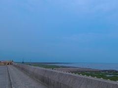 -南汇新城海滩