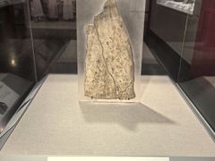 -北京大学赛克勒考古与艺术博物馆