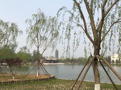 -西海子公园