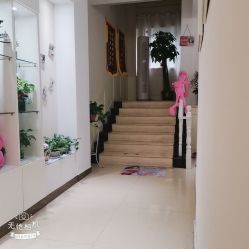 -Dr.林醫生产后修复·配方产康店(南京大厂店)
