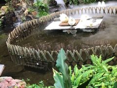 店内环境-凯德广场(学府店)