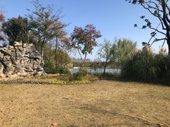 -上海长兴岛郊野公园