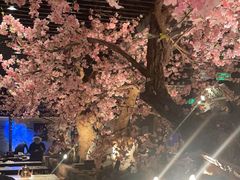 -桂满陇-西湖船宴(西单大悦城店)